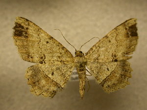  ( - 09-CRBS-790)  @11 [ ] Unspecified (default): All Rights Reserved  Unspecified Unspecified
