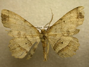  ( - 09-CRBS-791)  @13 [ ] Unspecified (default): All Rights Reserved  Unspecified Unspecified
