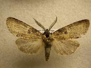  ( - 10-CRBS-389)  @14 [ ] Unspecified (default): All Rights Reserved  Unspecified Unspecified