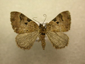  ( - 10-CRBS-513)  @13 [ ] Unspecified (default): All Rights Reserved  Unspecified Unspecified
