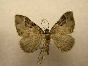  ( - 10-CRBS-514)  @13 [ ] Unspecified (default): All Rights Reserved  Unspecified Unspecified