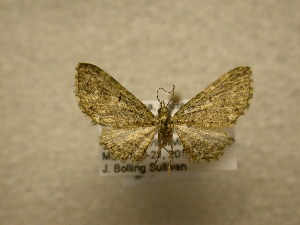  ( - 10-CRBS-638)  @13 [ ] No Rights Reserved (2010) James Sullivan Research Collection of J. B. Sullivan