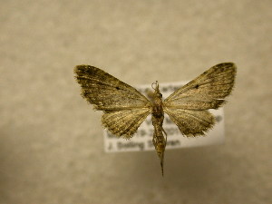  ( - 10-CRBS-640)  @13 [ ] No Rights Reserved (2010) James Sullivan Research Collection of J. B. Sullivan