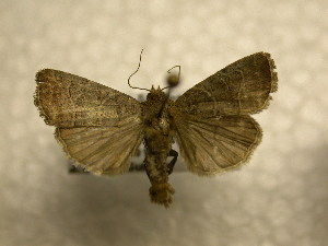  ( - 10-CRBS-927)  @13 [ ] No Rights Reserved (2010) James Sullivan Research Collection of J. B. Sullivan