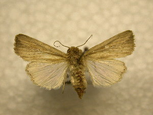  ( - 10-CRBS-952)  @13 [ ] No Rights Reserved (2010) James Sullivan Research Collection of J. B. Sullivan