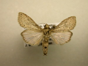  ( - 10-CRBS-1211)  @13 [ ] No Rights Reserved (2010) James Sullivan Research Collection of J. B. Sullivan