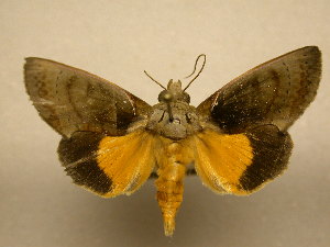  ( - 10-CRBS-1337)  @14 [ ] No Rights Reserved (2010) James Sullivan Research Collection of J. B. Sullivan