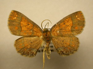  ( - 10-CRBS-1660)  @13 [ ] No Rights Reserved (2010) James Sullivan Research Collection of J. B. Sullivan
