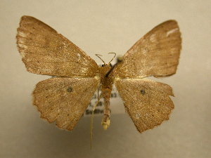  ( - 10-CRBS-1826)  @13 [ ] No Rights Reserved (2010) James Sullivan Research Collection of J. B. Sullivan