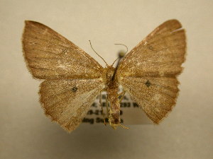  ( - 10-CRBS-1827)  @13 [ ] No Rights Reserved (2010) James Sullivan Research Collection of J. B. Sullivan