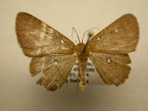  ( - 10-CRBS-1838)  @13 [ ] No Rights Reserved (2010) James Sullivan Research Collection of J. B. Sullivan