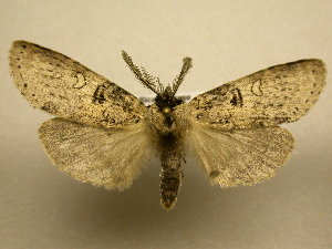  ( - 10-CRBS-1847)  @14 [ ] No Rights Reserved (2010) James Sullivan Research Collection of J. B. Sullivan