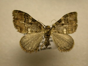  ( - 10-CRBS-2127)  @13 [ ] No Rights Reserved (2010) James Sullivan Research Collection of J. B. Sullivan