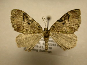  ( - 10-CRBS-2138)  @13 [ ] No Rights Reserved (2010) James Sullivan Research Collection of J. B. Sullivan