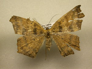  ( - 10-CRBS-2534)  @11 [ ] No Rights Reserved (2010) James Sullivan Research Collection of J. B. Sullivan
