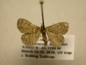  ( - 11-CRBS-702)  @13 [ ] No Rights Reserved (2010) James Sullivan Research Collection of J. B. Sullivan