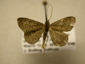  ( - 11-CRBS-720)  @13 [ ] No Rights Reserved (2010) James Sullivan Research Collection of J. B. Sullivan