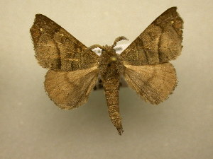  ( - 11-CRBS-0939)  @13 [ ] No Rights Reserved (2010) James Sullivan Research Collection of J. B. Sullivan