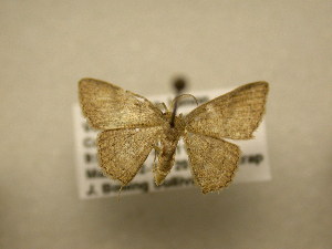  ( - 11-CRBS-1029)  @12 [ ] No Rights Reserved (2010) James Sullivan Research Collection of J. B. Sullivan