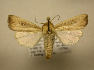  ( - 11-CRBS-2291)  @14 [ ] No Rights Reserved (2010) James Sullivan Research Collection of J. B. Sullivan