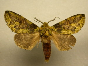  ( - 11-CRBS-2587)  @14 [ ] No Rights Reserved (2012) JB Sullivan Research Collection of J. B. Sullivan