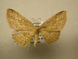  ( - 11-CRBS-2610)  @13 [ ] No Rights Reserved (2012) JB Sullivan Research Collection of J. B. Sullivan