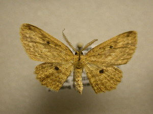  ( - 11-CRBS-2612)  @13 [ ] No Rights Reserved (2012) JB Sullivan Research Collection of J. B. Sullivan