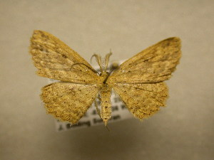  ( - 11-CRBS-2614)  @13 [ ] No Rights Reserved (2012) JB Sullivan Research Collection of J. B. Sullivan