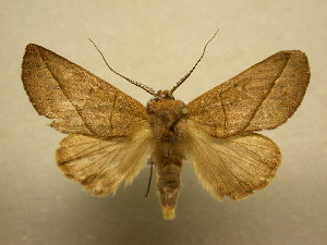  ( - 11-CRBS-2670)  @14 [ ] No Rights Reserved (2011) JB Sullivan Research Collection of J. B. Sullivan