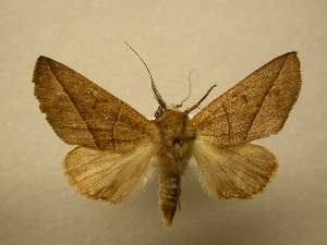  ( - 11-CRBS-2683)  @14 [ ] No Rights Reserved (2011) JB Sullivan Research Collection of J. B. Sullivan
