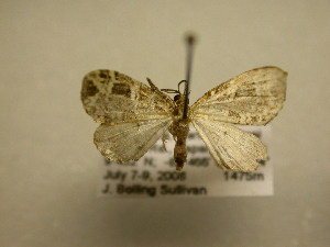  ( - 11-CRBS-2825)  @14 [ ] No Rights Reserved (2011) JB Sullivan Research Collection of J. B. Sullivan