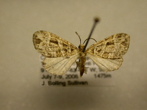  ( - 11-CRBS-2826)  @14 [ ] No Rights Reserved (2011) JB Sullivan Research Collection of J. B. Sullivan