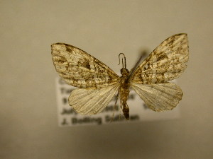  ( - 11-CRBS-2829)  @14 [ ] No Rights Reserved (2011) JB Sullivan Research Collection of J. B. Sullivan