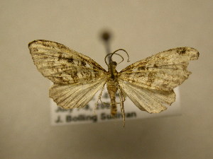  ( - 11-CRBS-2830)  @14 [ ] No Rights Reserved (2011) JB Sullivan Research Collection of J. B. Sullivan