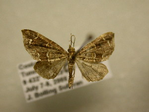  ( - 11-CRBS-2884)  @12 [ ] No Rights Reserved (2011) JB Sullivan Research Collection of J. B. Sullivan