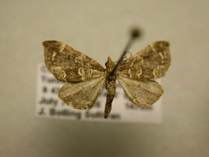  ( - 11-CRBS-2885)  @12 [ ] No Rights Reserved (2011) JB Sullivan Research Collection of J. B. Sullivan
