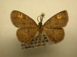  ( - 12-CRBS-364)  @13 [ ] No Rights Reserved (2012) JB Sullivan Research Collection of J.B. Sullivan