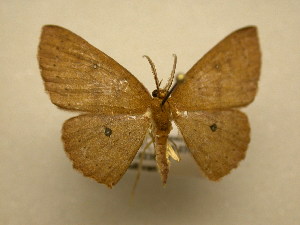  ( - 12-CRBS-380)  @13 [ ] No Rights Reserved (2012) JB Sullivan Research Collection of J.B. Sullivan