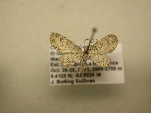 ( - 12-CRBS-468)  @12 [ ] No Rights Reserved (2012) JB Sullivan Research Collection of J.B. Sullivan