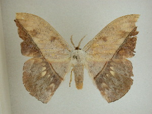  ( - 13-CRBS-107)  @12 [ ] No Rights Reserved (2013) James Sullivan Research Collection of J. B. Sullivan