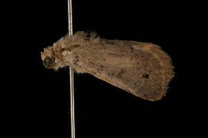  ( - 04HBL004140)  @12 [ ] CreativeCommons - Attribution (2010) CBG Photography Group Centre for Biodiversity Genomics