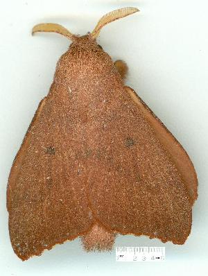  ( - gvc7166-1L)  @13 [ ] Copyright (2004) Graeme V. Cocks Unspecified