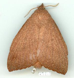  ( - gvc7323-1L)  @13 [ ] Copyright (2004) Graeme V. Cocks Unspecified