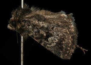  ( - 06-TASA-00056)  @13 [ ] Copyright (2010) Unspecified Unspecified