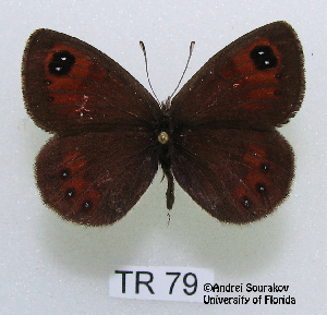  ( - McGuire09-TR79)  @13 [ ] Unspecified (default): All Rights Reserved  Unspecified Unspecified
