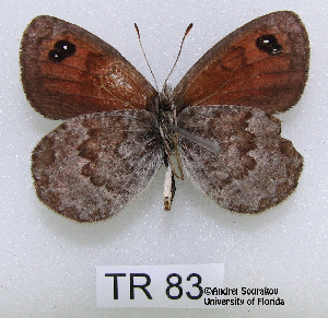  ( - McGuire09-TR83)  @13 [ ] Unspecified (default): All Rights Reserved  Unspecified Unspecified