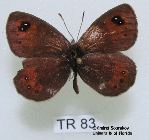  ( - McGuire09-TR83)  @13 [ ] Unspecified (default): All Rights Reserved  Unspecified Unspecified