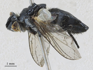  ( - CBG-A23422-F11)  @11 [ ] CreativeCommons - Attribution Share - Alike (2024) CBG Photography Group Centre for Biodiversity Genomics