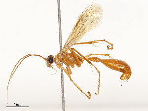  ( - CBG-A58643-F07)  @11 [ ] CreativeCommons - Attribution Share - Alike (2024) CBG Photography Group Centre for Biodiversity Genomics