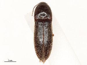  ( - CBG-A58650-F07)  @11 [ ] CreativeCommons - Attribution Share - Alike (2024) CBG Photography Group Centre for Biodiversity Genomics